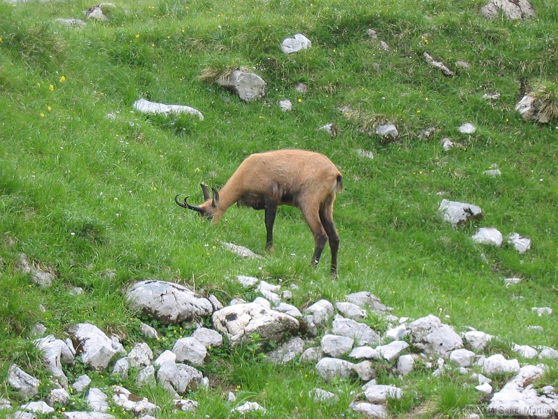 IMG_1908.jpg