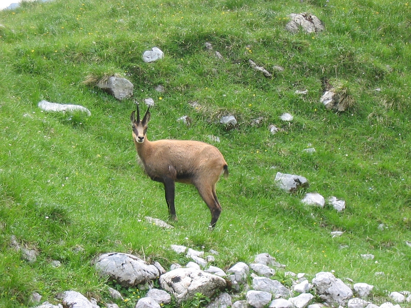 IMG_1910.jpg