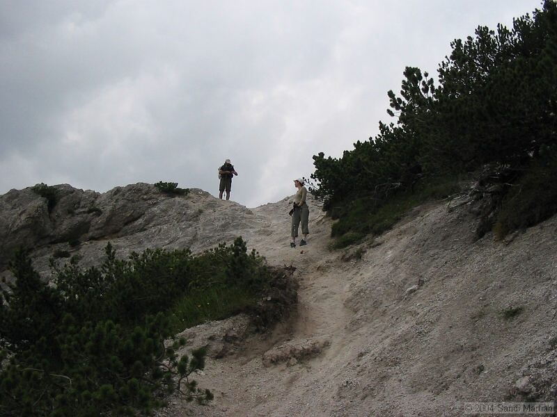 IMG_1922.jpg