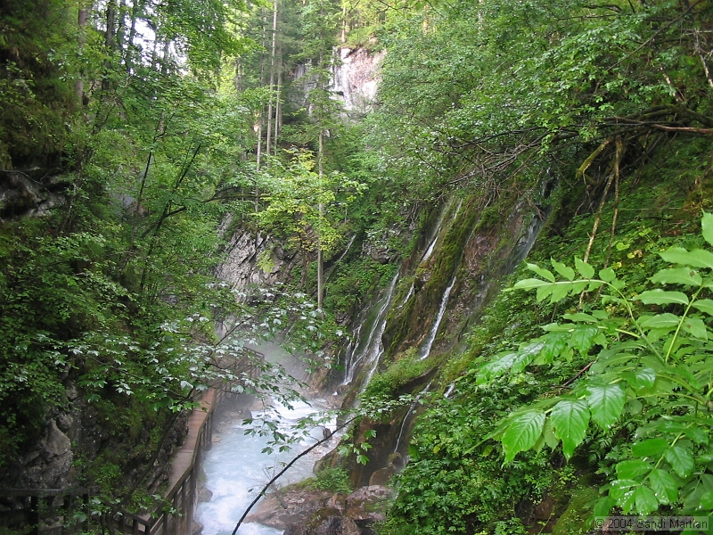 IMG_1930.jpg