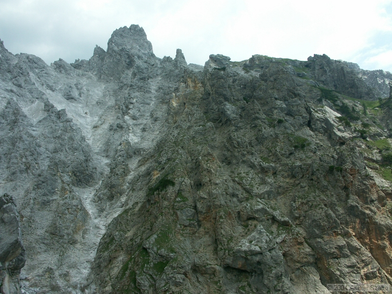 PICT1236.jpg