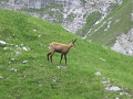 IMG_1911
