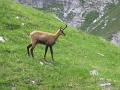 IMG_1913
