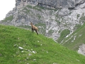 IMG_1915