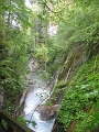 IMG_1929