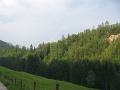 IMG_1934