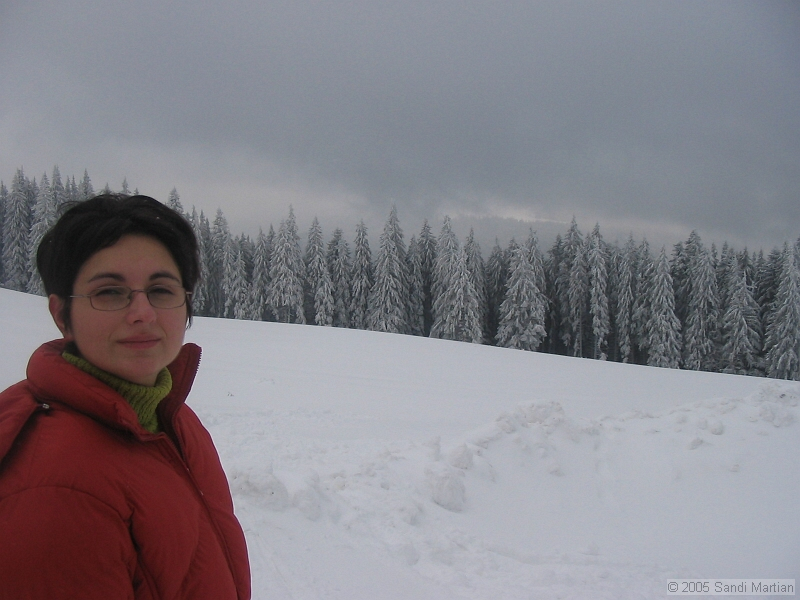 IMG_4274.jpg