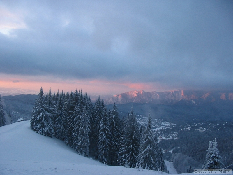 IMG_4286.jpg