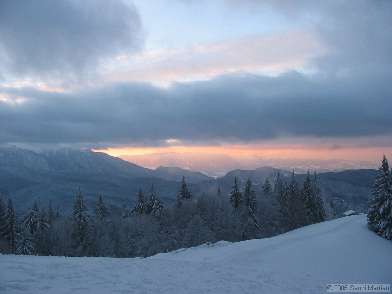 IMG_4287.jpg