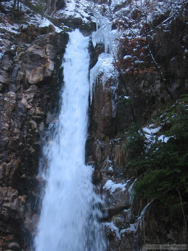 IMG_4309.jpg