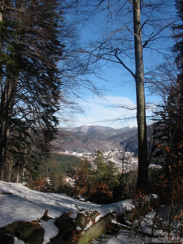 IMG_4318.jpg