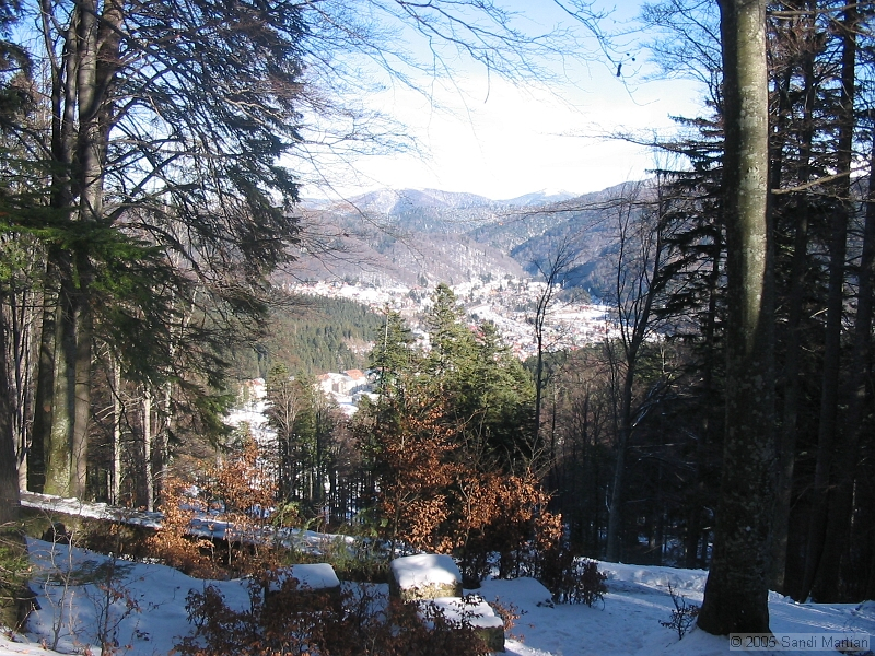 IMG_4321.jpg