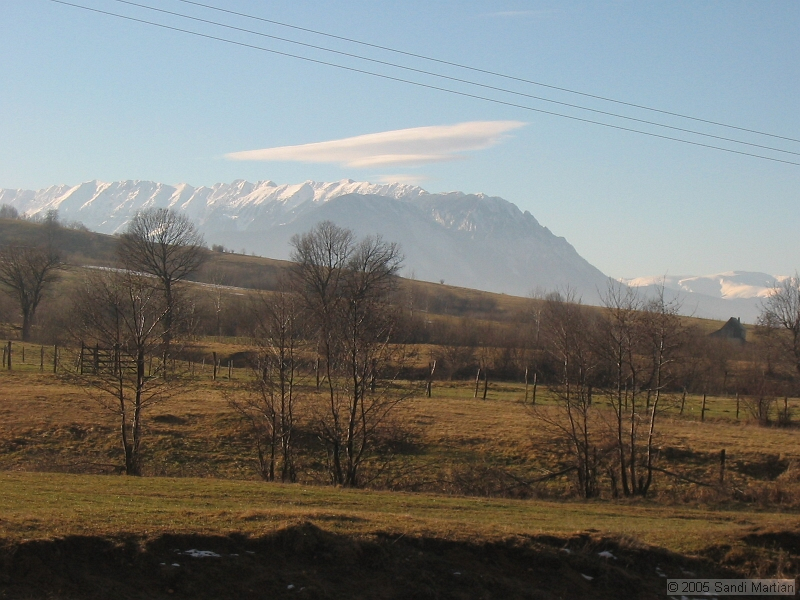 IMG_4322.jpg