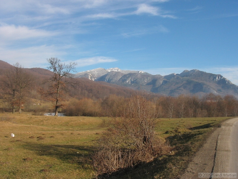 IMG_4326.jpg