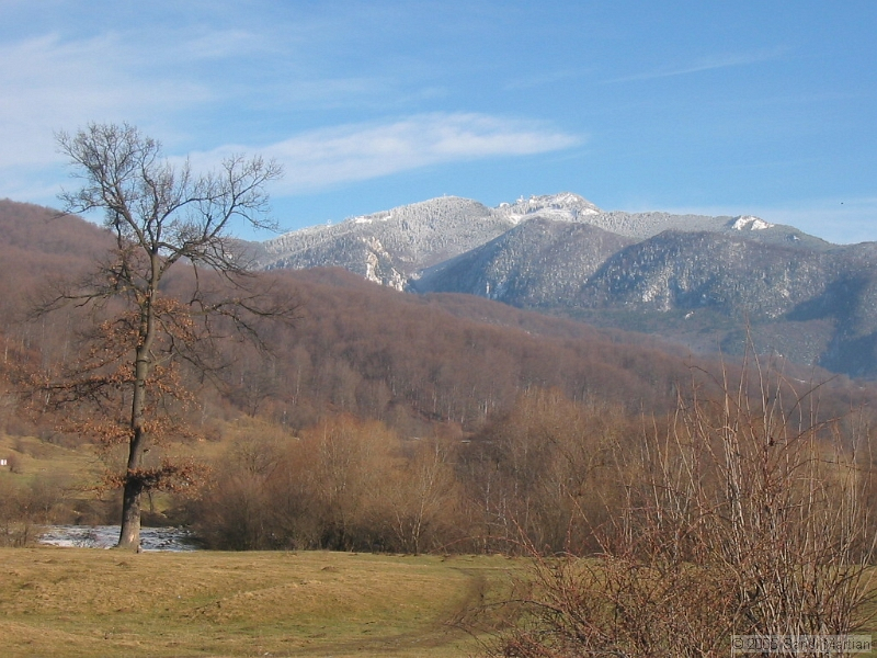 IMG_4327.jpg
