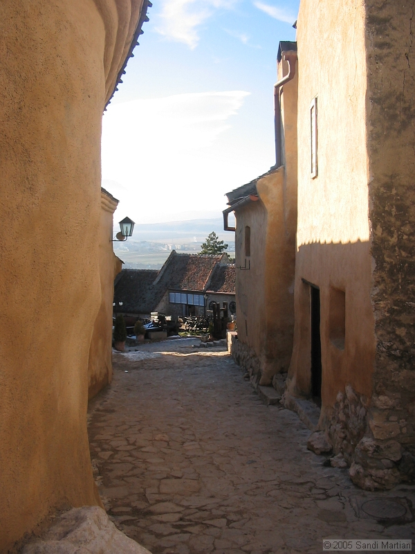 IMG_4343.jpg