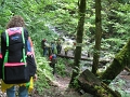 IMG_1333