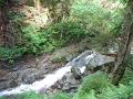 IMG_1347