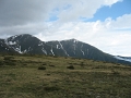 IMG_1476