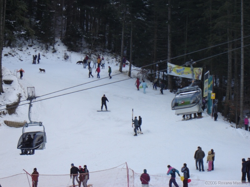 DSC02280.JPG