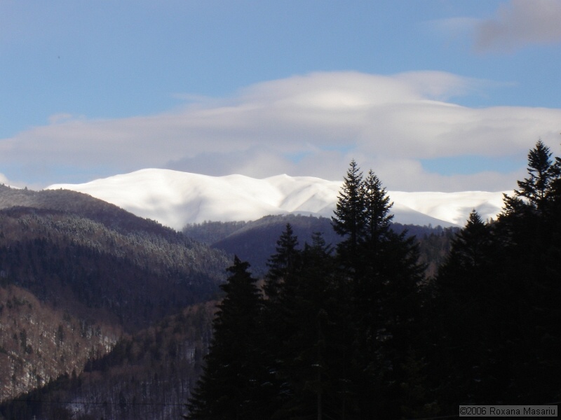 DSC02281.JPG