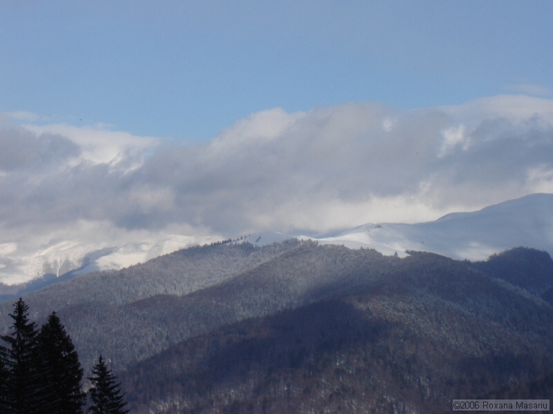 DSC02290.JPG