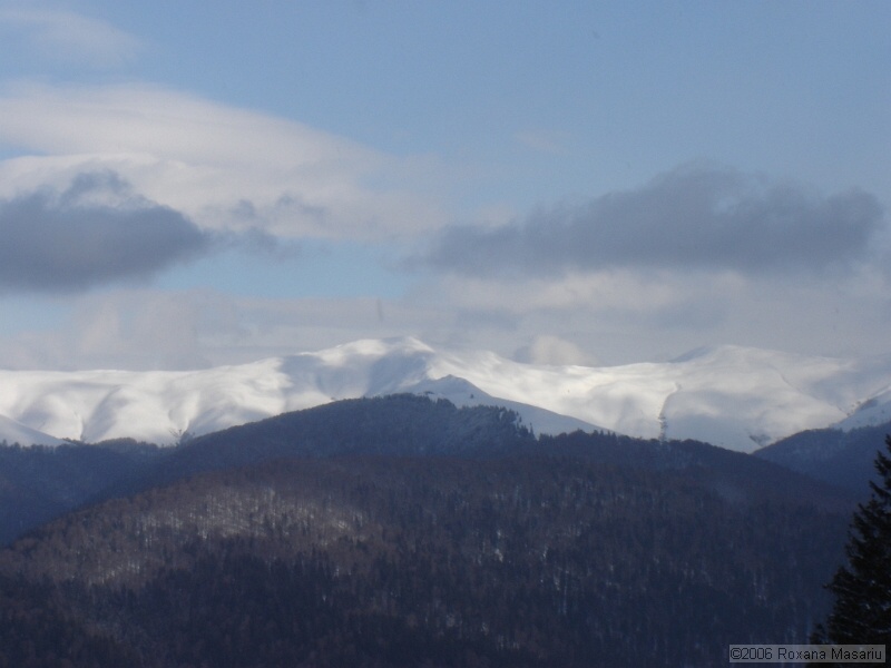 DSC02291.JPG