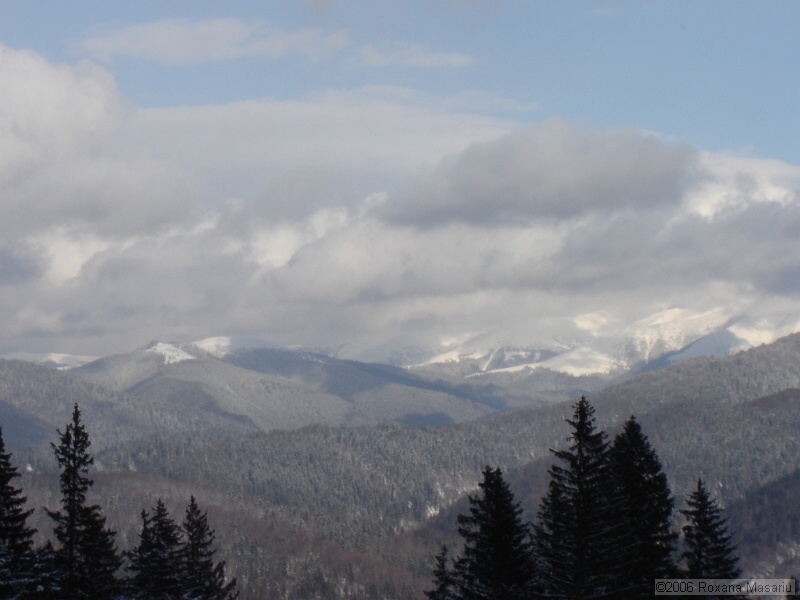 DSC02293.JPG