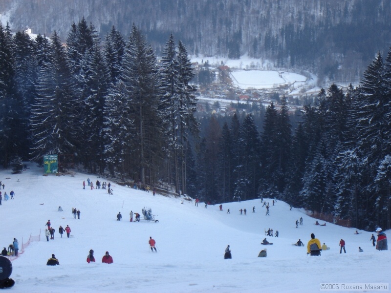 DSC02294.JPG