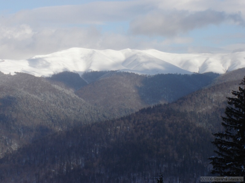 DSC02299.JPG