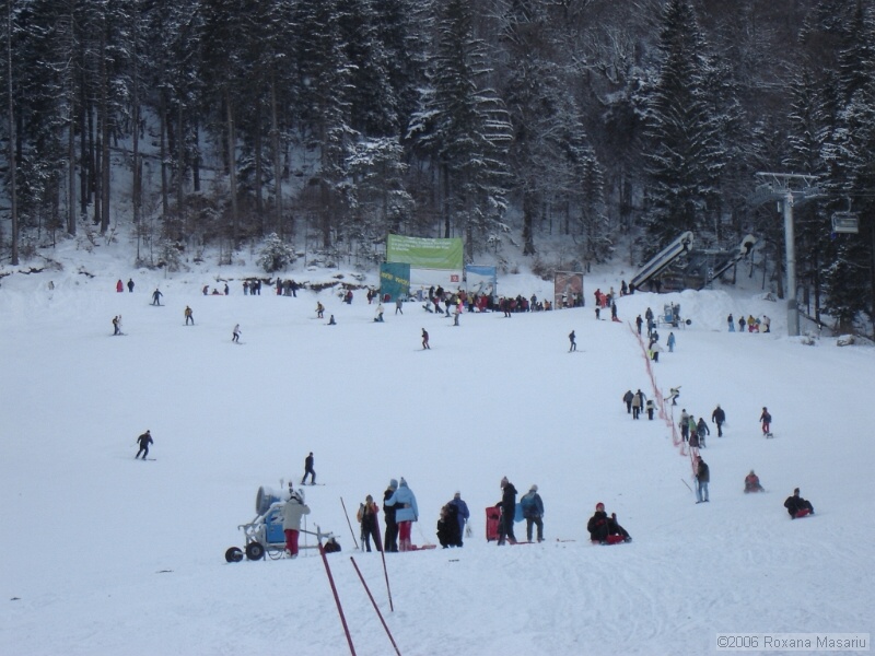DSC02306.JPG