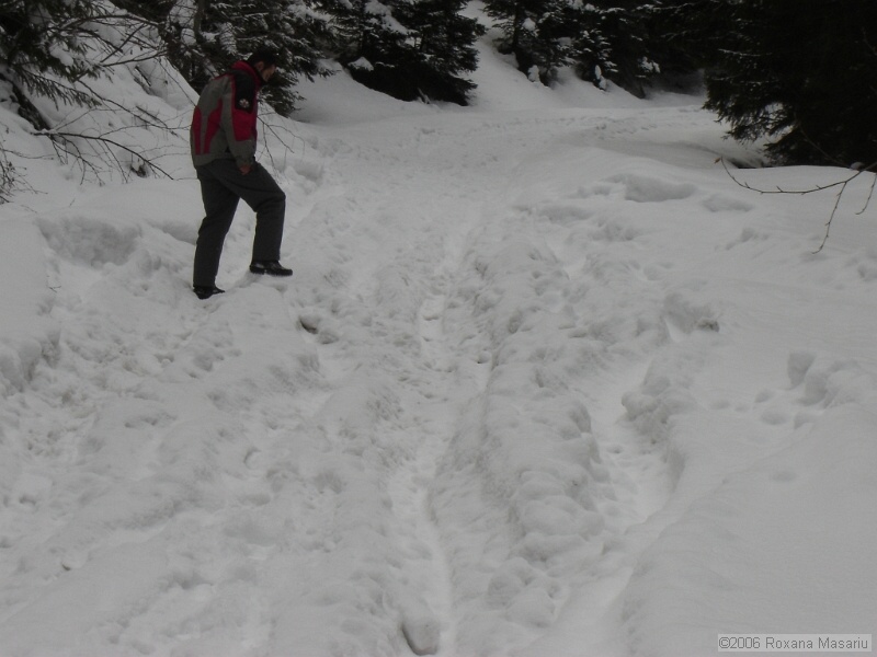 DSC02346.JPG