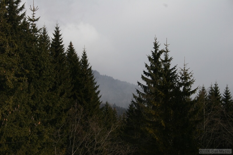IMG_8476.JPG