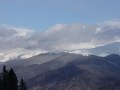 DSC02290