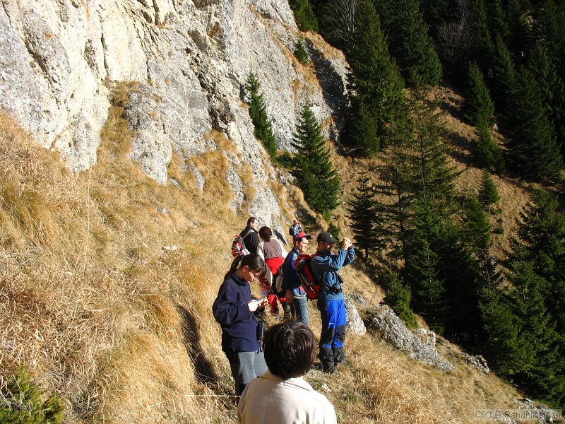 IMG_3157.jpg
