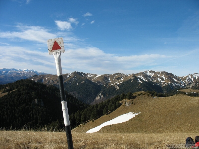 IMG_3272.jpg