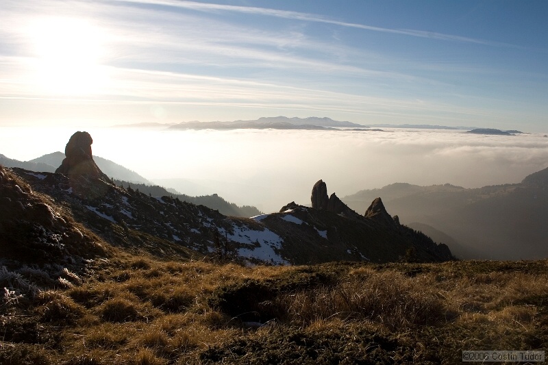 IMG_4357.jpg