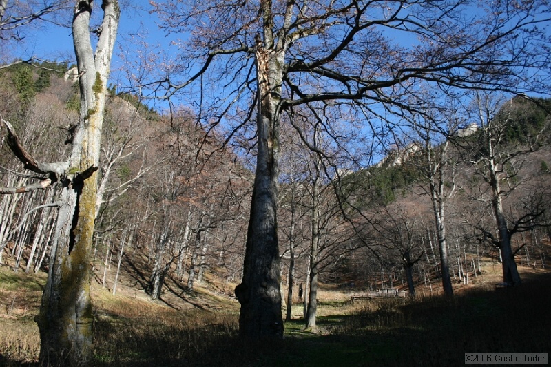IMG_4372.jpg
