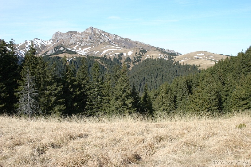 IMG_4393.jpg
