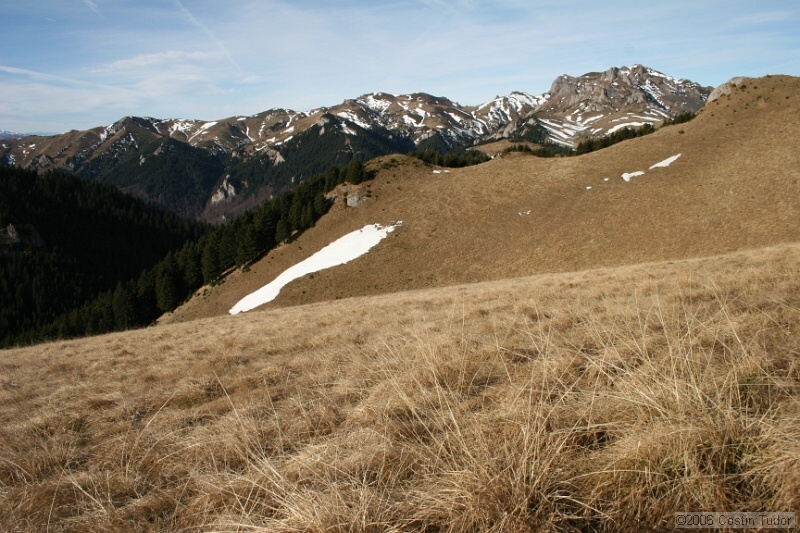 IMG_4399.jpg