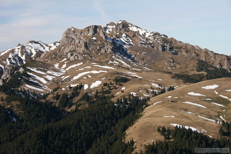 IMG_4409.jpg