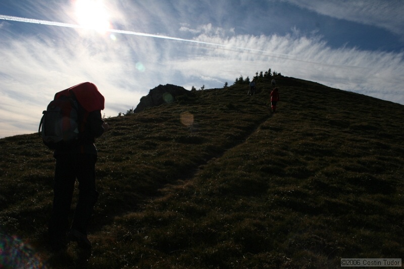 IMG_4418.jpg