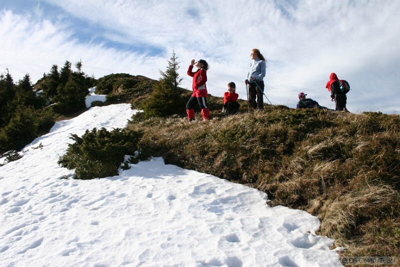 IMG_4421.jpg