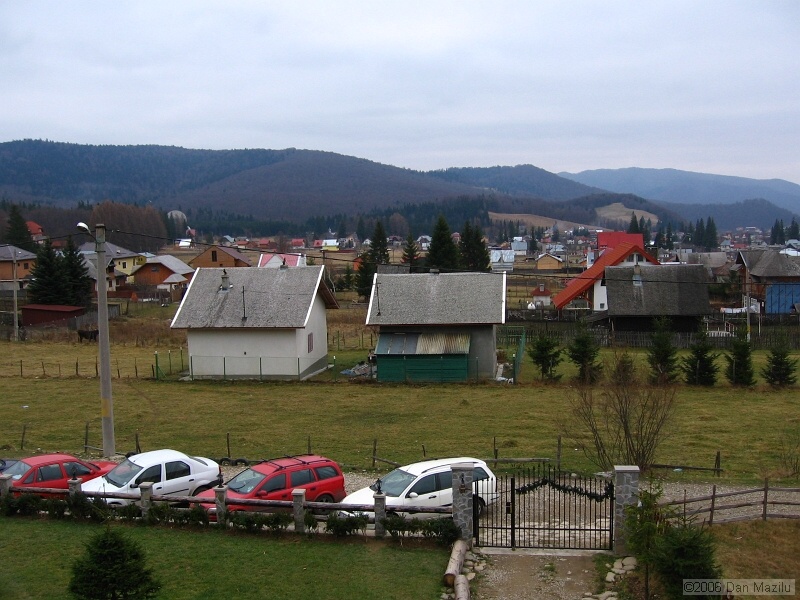 IMG_7051.jpg