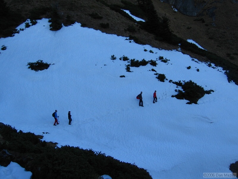 IMG_7185.jpg