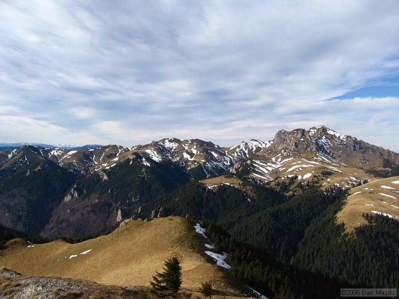 IMG_7362.jpg