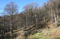 IMG_4375