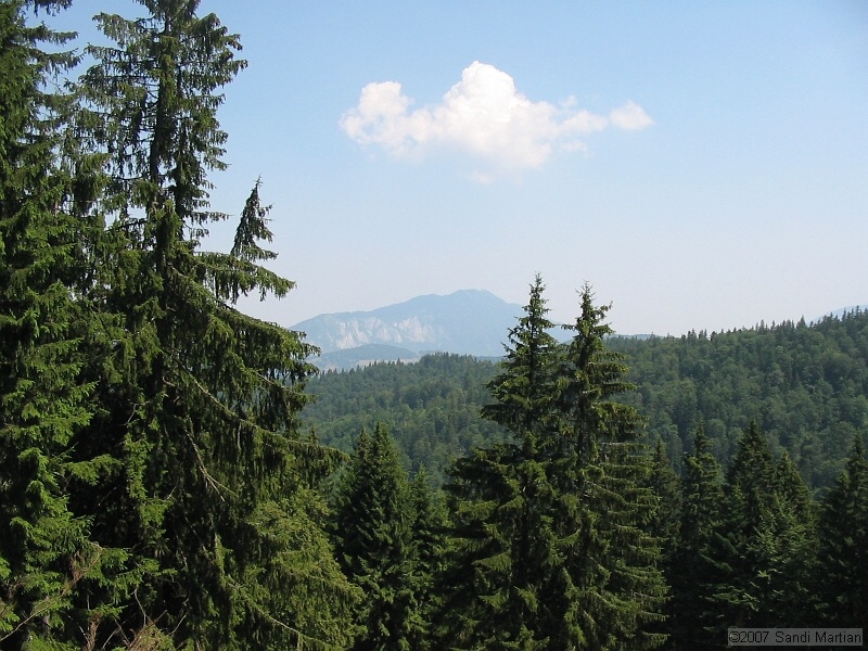 IMG_8251.jpg
