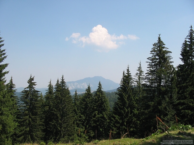 IMG_8253.jpg