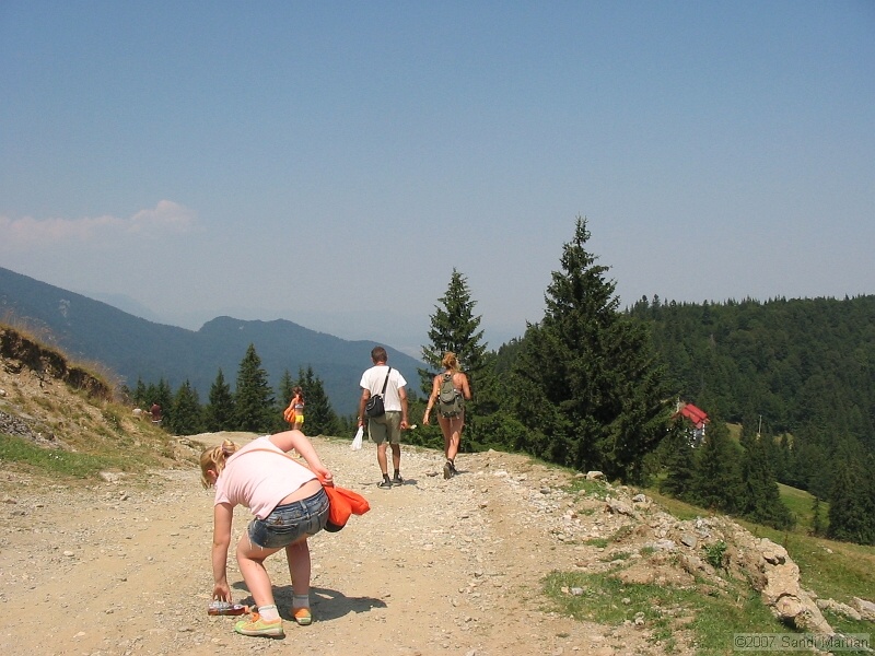 IMG_8254.jpg